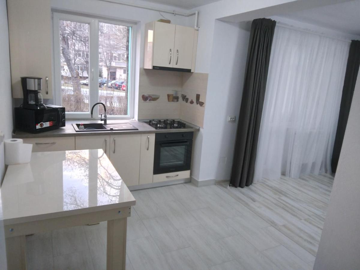 Luxury Apartament Curtea de Argeş Exterior foto